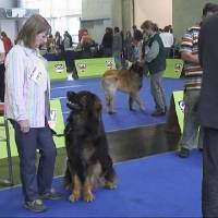 Salzburg Clubschau Mai 06 244 